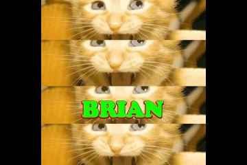 Happy Birthday Brian - Brian's Birthday Song - Brian's Birthday Party
