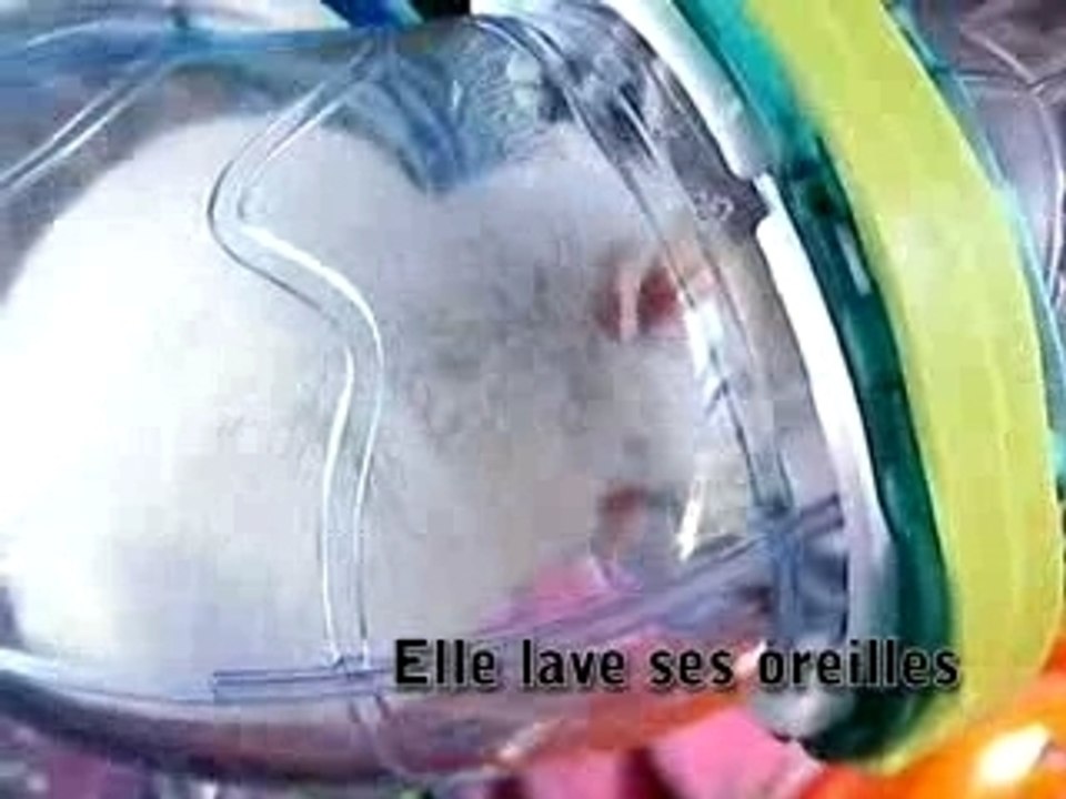 Lili la petite souris... pour tous les enfants !