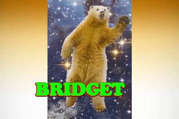 Happy Birthday Bridget - Bridget's Birthday Song - Bridget's Birthday Party