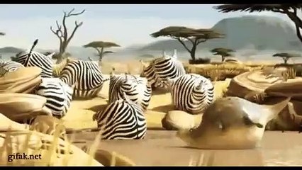 funny videos - Crazy and Funny Animals Compilation