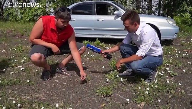 В Новосибирской области ЧС из-за засухи