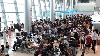 Mở đường bay nội địa 'giải cứu' hàng không | VTC