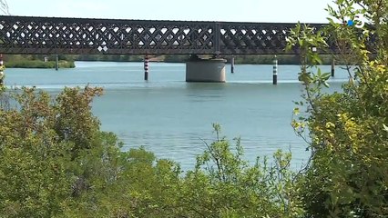 Avignon - Le père de la fillette de 11 ans retrouvée noyée avec les mains attachées dans le Rhône reconnait le meurtre lors de sa garde à vue