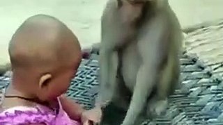 Monkey snatches mobile from child | THE EXPOSE EXPRESS