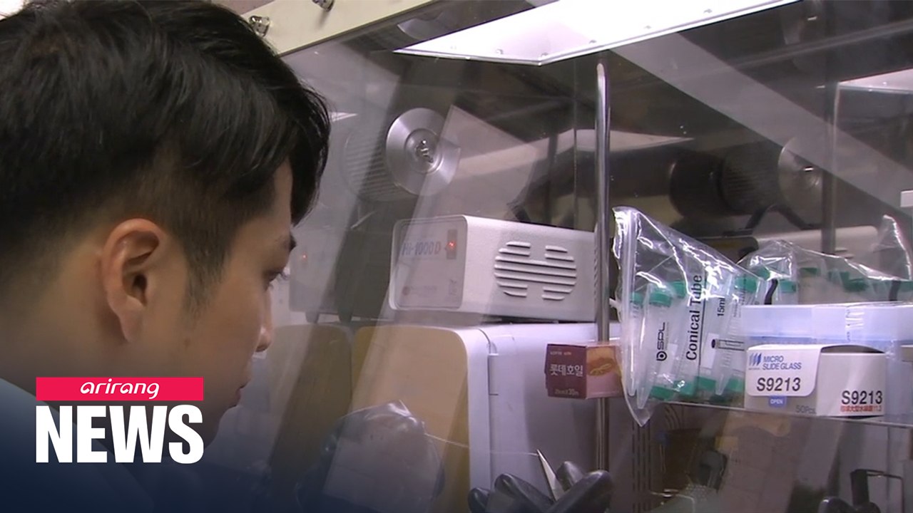 Ionic spider webs developed to imitate actual webs