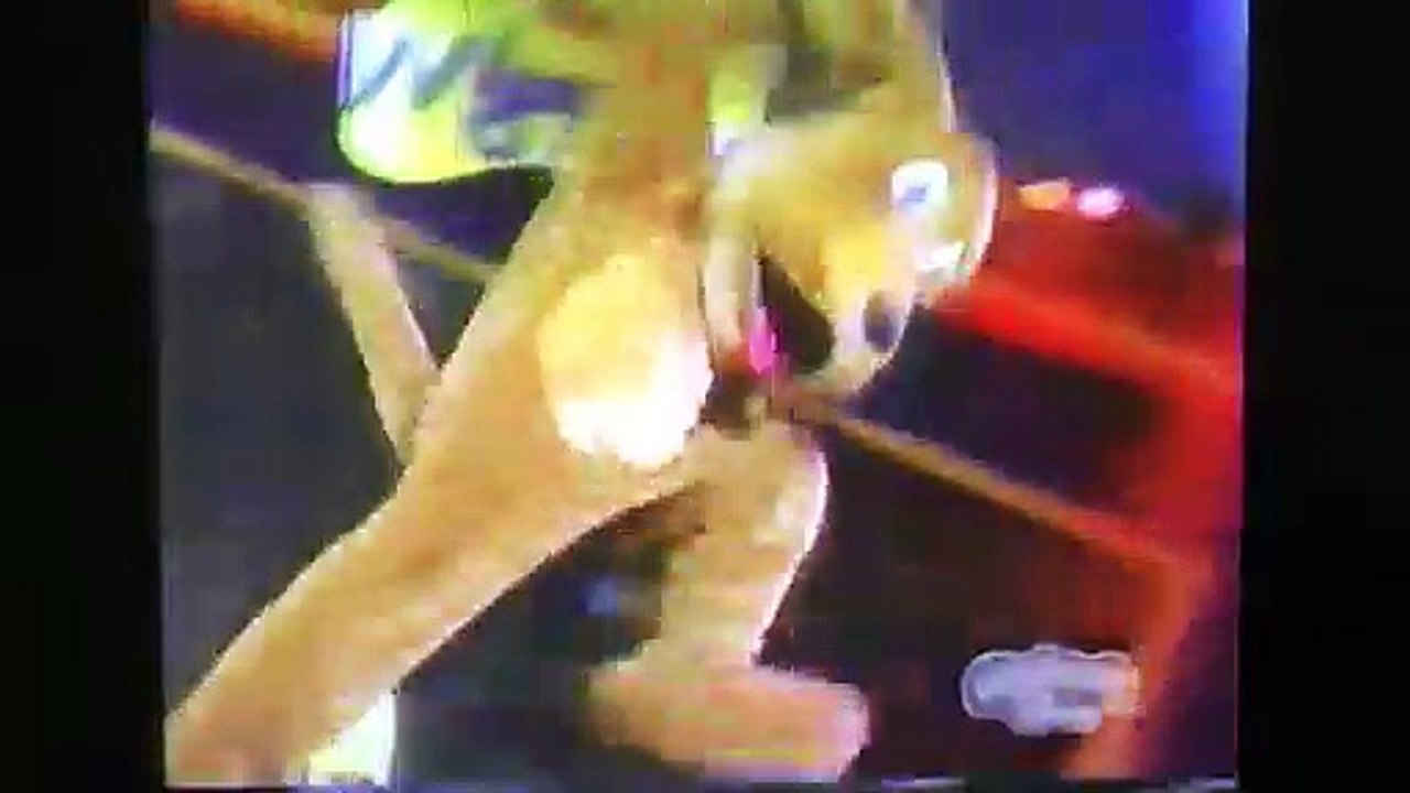 The Wiggles- Wave To Wags (Live 1997/1998)