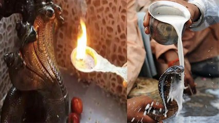 Nag Panchami 2020: नाग पंचमी पर कालसर्प दोष निवारण के लिए ना करें ये काम | Boldsky