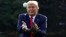 Donald Trump plays with baseball players at the White House