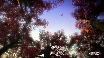 Wizards Tales of Arcadia Season 1