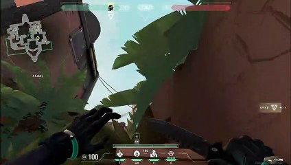 Afterplant Snake Bit Lineup | A Site