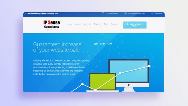 Website Development, Digital & Social Media Marketing Agency in Pune/PCMC