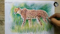 Cheetah Painting | Colour Pencil Shading | Time-lapse painting