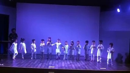 DIS Junior Rohini Celebration