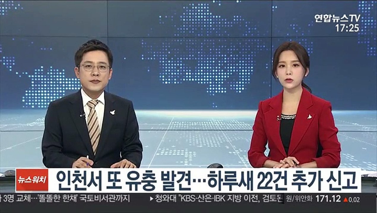인천서 또 유충 발견…하루새 22건 추가 신고