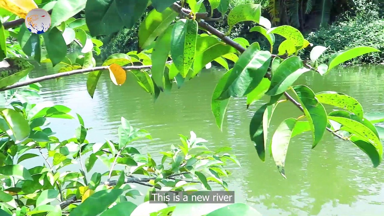 Going fishing is tough, but we don't give up. And the end result is very good