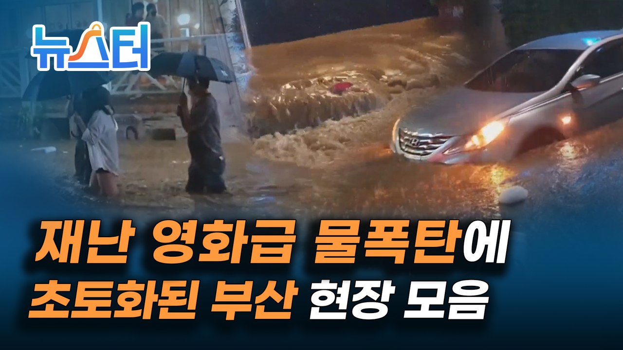 버스 내부까지 물 차오른 역대급 물폭탄! 부산 현장 상황 모음 [뉴스터]