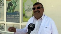 Tonlarca süt kadın eliyle ekonomiye kazandırılıyor - KAYSERİ