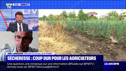 Sécheresse : coup dur pour les agriculteurs - 24/07