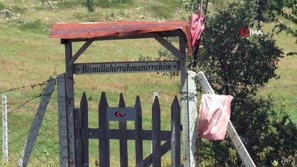 Yemen şehitlerinin mezarlarının içler acısı hali