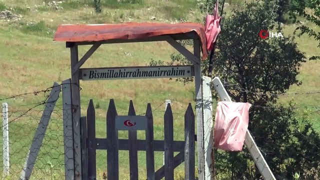 Yemen şehitlerinin mezarlarının içler acısı hali