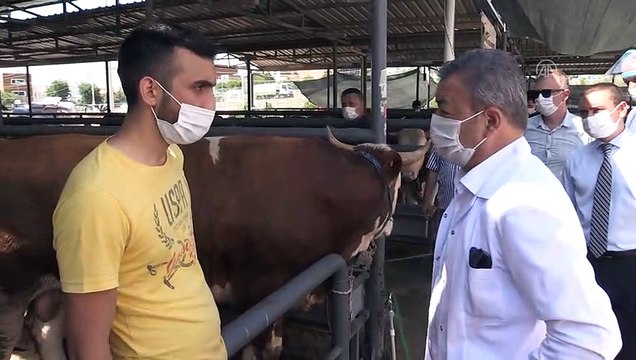 'Salgın sürecinde kurbanlıkları son güne bırakmayın' uyarısı - İZMİR