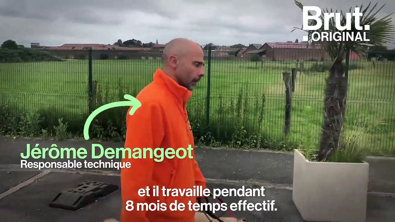 Comment les chiens de sauvetage, chiens policiers ou chiens guident sont-ils formés ?