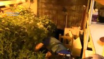 La Guardia Civil desmantela una red de venta de drogas en Murcia con más de 70 detenidos