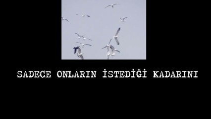 Gazeteciler Basın Bayramı'nda seslendi: "Sansür var, bayram yok!"
