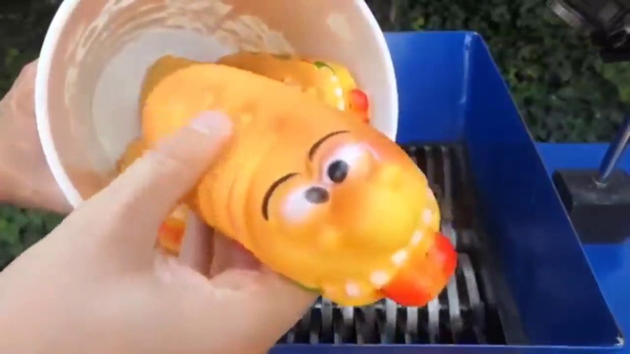 Shredding Rainbow Jelly Sticks!  Amazing video!