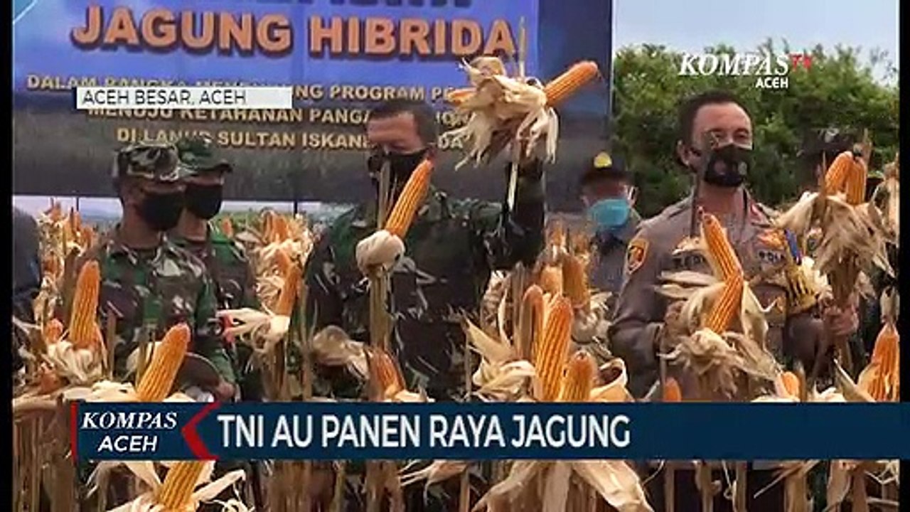 Lanud SIM Panen Jagung