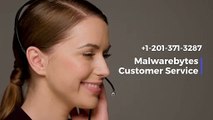 Malwarebytes Customer Support (151O-37O-1986) Service Phone Number