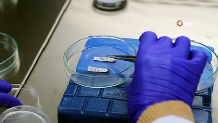 Ata tohumları geleceğe miras için donduruluyor