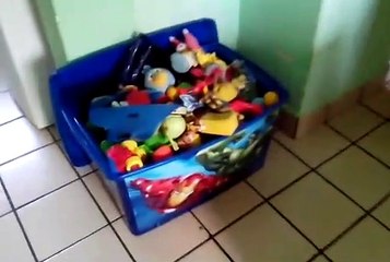 RAPHAELL, OSMILTON E THÁBATTA EM VILA RICA - JABOATÃO 24-01-2016