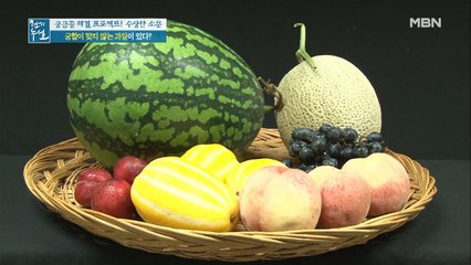 궁합이 맞지 않는 과일이 있다!?!?