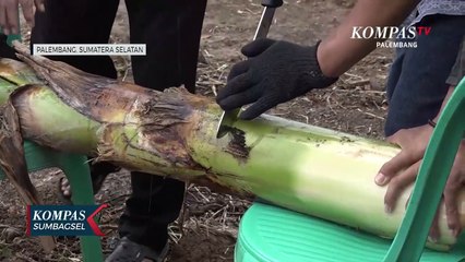 Yuk, Belajar Cara Sembelih Dan Manajemen Kurban Saat Pandemi