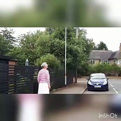 Huge flock of birds seen above Kettering