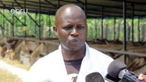 Ogola A Donkey Butcher Says He Hardly Gets Customers