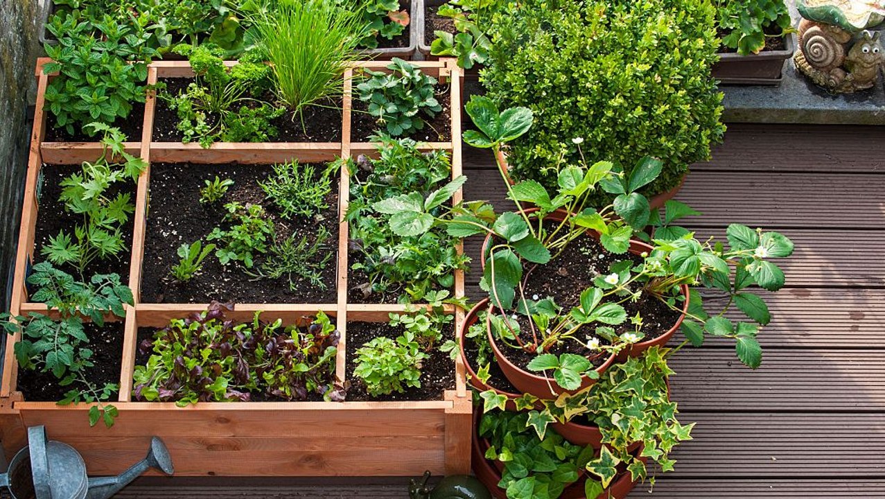 How To Plant Flowers
