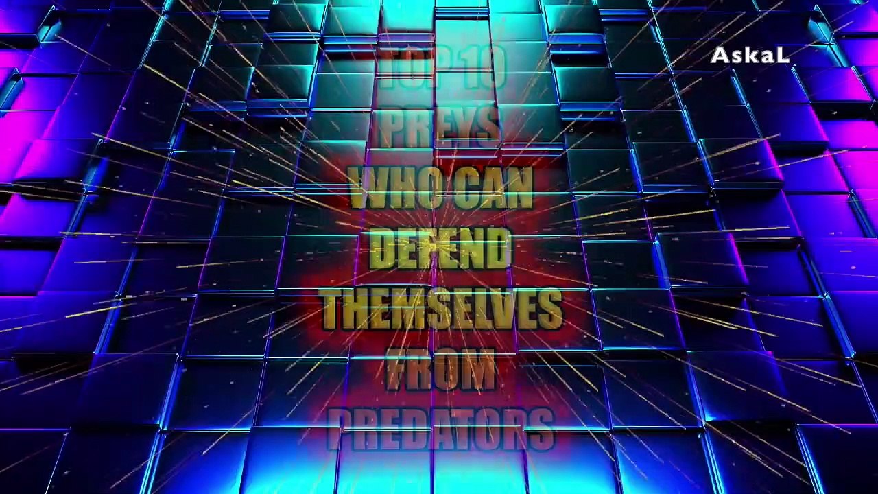 Top 10 Preys Who Can Defend Themselves From Predators - When Prey Fights Back - Prey VS Predator