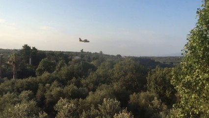 Canadair loading Water for fighting Fire, Petalidi, Greece