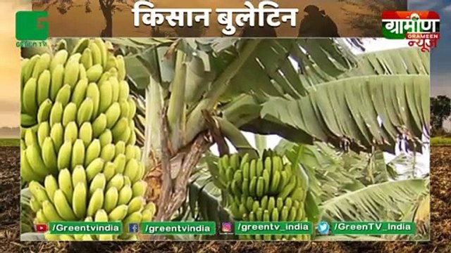 Kisan Bulletin : युवाओं को हर महीने होगा 10 हजार रूपये का मुनाफा, 2 K Retail Outlet खुलेंगे Haryana : Grameen News