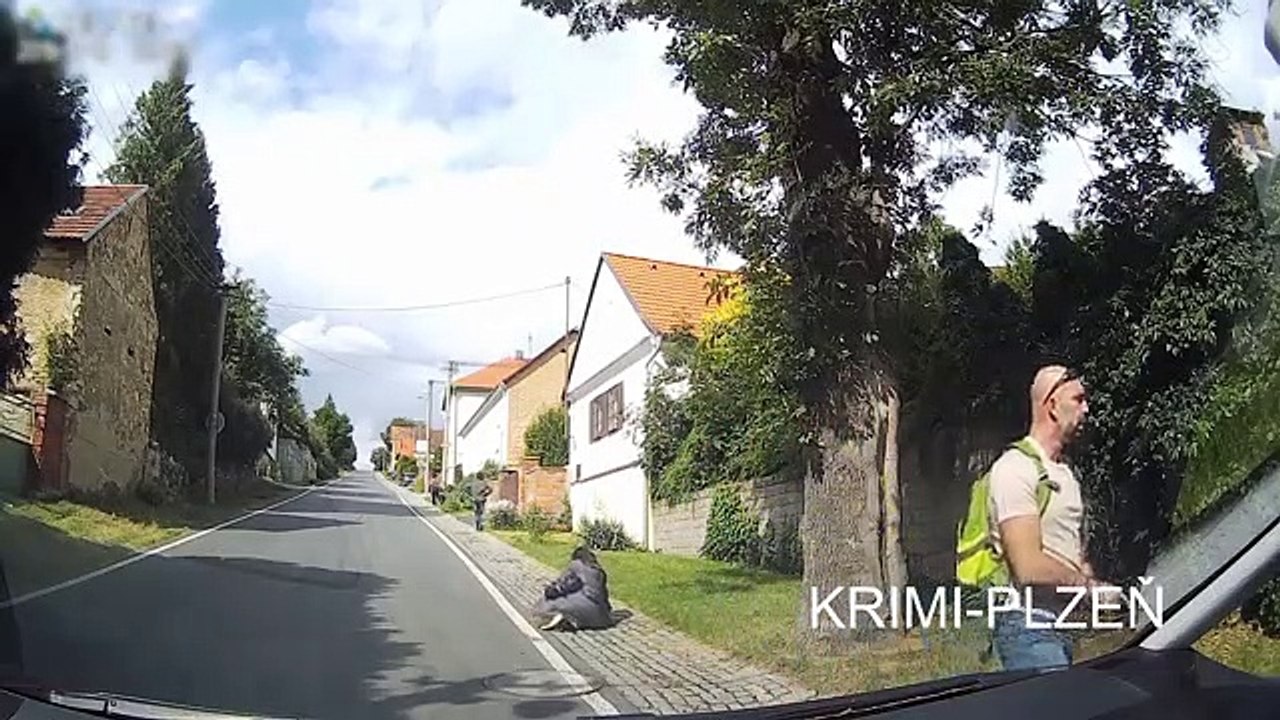 Un homme tire un coup de feu pour stopper l'attaque d'un chien
