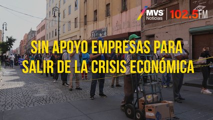 Sin apoyo empresas para salir de la crisis económica