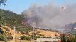 İzmir’deki korkutan orman yangını kontrol altına alındı