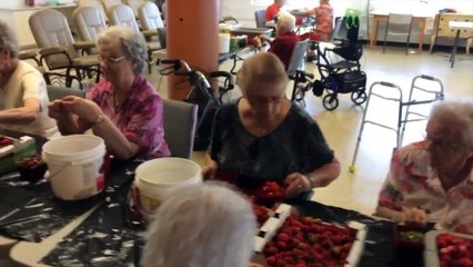 Des aînés profitent de la saison des fraises