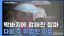 막바지에 더 강해진 장마...다음 주가 위험한 이유 / YTN