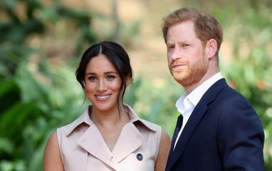 Meghan Markle and Prince Harry Sue Paparazzi for Invasion of Privacy Over Drone Photos
