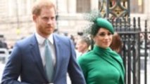 Meghan Markle and Prince Harry Sue for Invasion of Privacy Over Illegal Images of Son | THR News