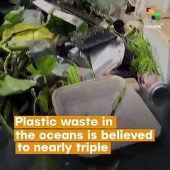 Plastic Waste In Oceans Expected To Triple In 20 years