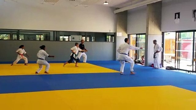 Entraînements estivaux de Karaté-Do Shotokai (École Mushinkai) - Juillet 2020 | Kata Taikyoku shodan (1)